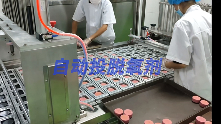 月餅封口機(jī)(帶自動(dòng)投脫氧劑)